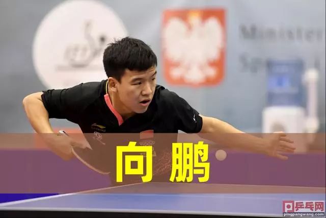 在这一决定 在这一决定