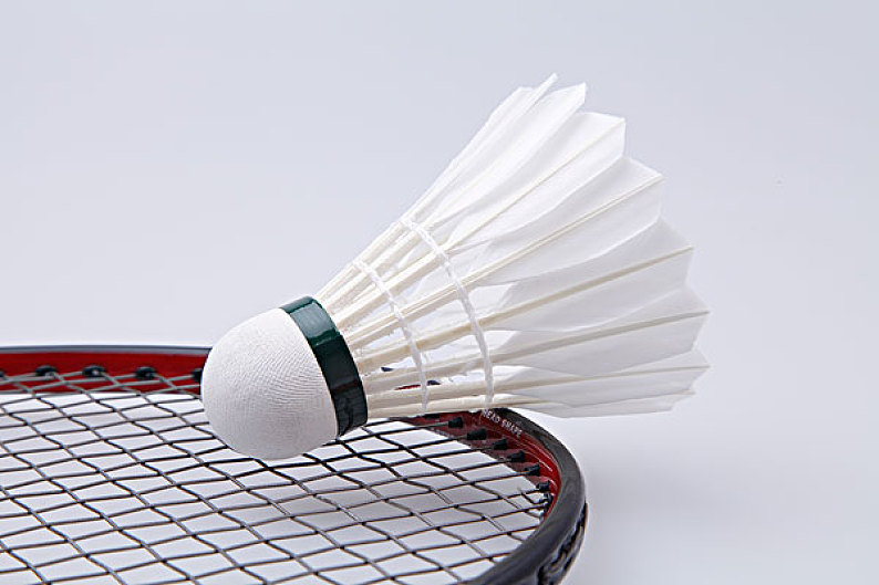 巴特勒对 巴特勒对