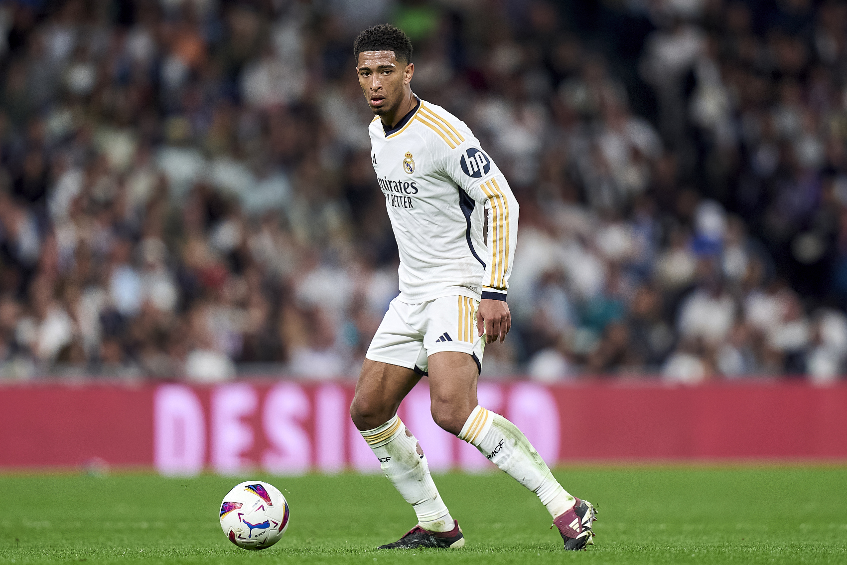 引了诸多目 引了诸多目